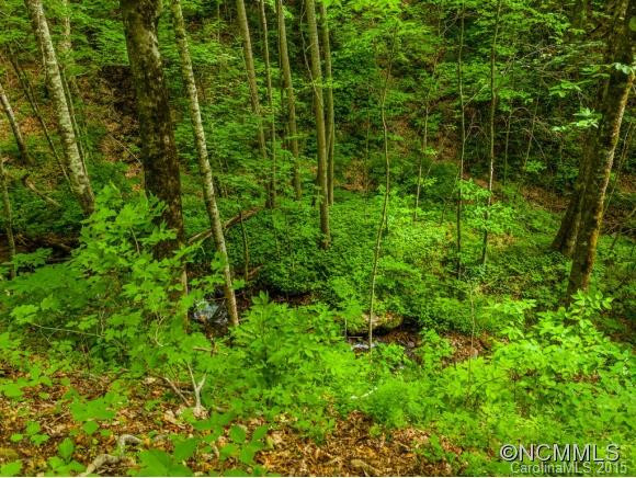 238 Ginseng Hollow Lane - Photo 23