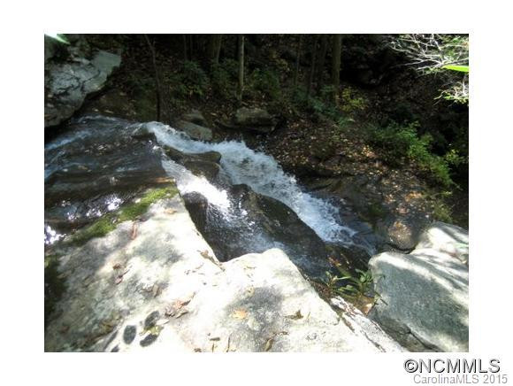 50 Bear Mountain - Photo 23