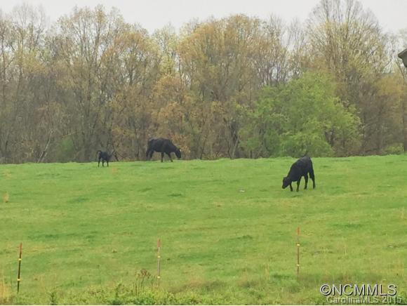 641 Newfound Road - Photo 15