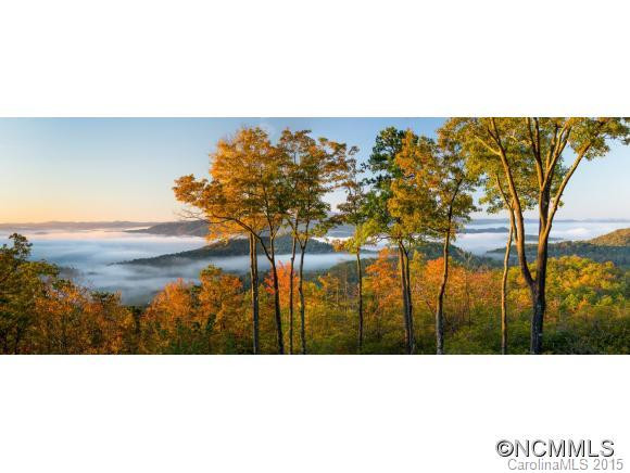 610 Arbor Woods Drive - Photo 3