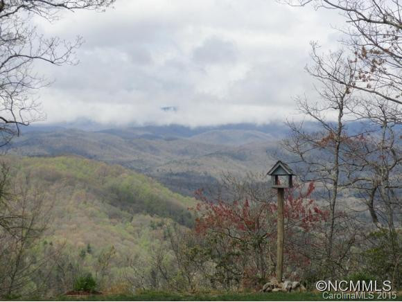 716 Indian Ridge Trail - Photo 21