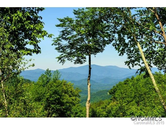928 Goldenleaf Road - Photo 4