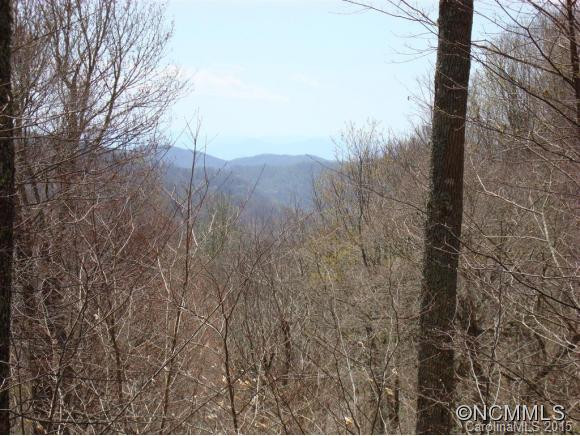 505 Oakridge Lane - Photo 4