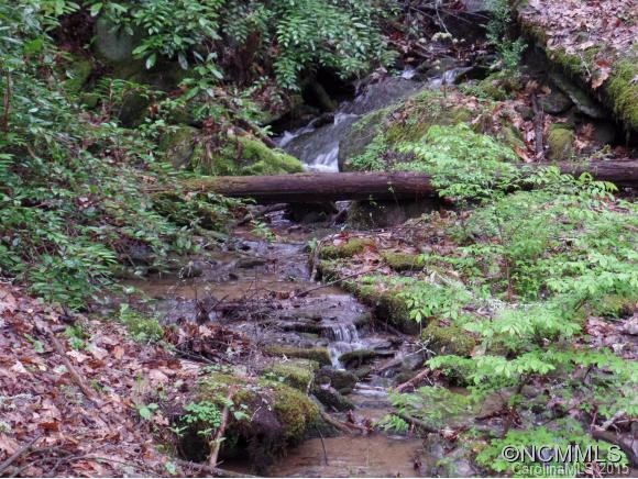 361 Pisgah Forest Drive - Photo 2