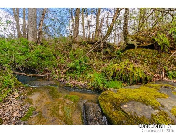 131 Holcombe Branch Road - Photo 4