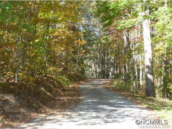 224 Firefly Hill Drive - Photo 11