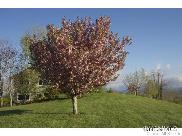 224 Firefly Hill Drive - Photo 6
