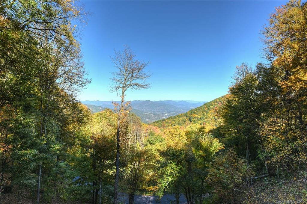 49 Elaque Trail - Photo 2