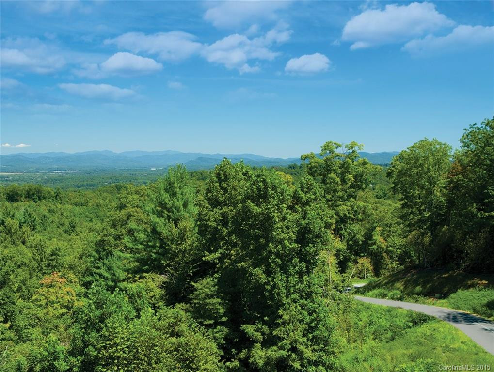 115 Horse Shoe Ridge Trail - Photo 4