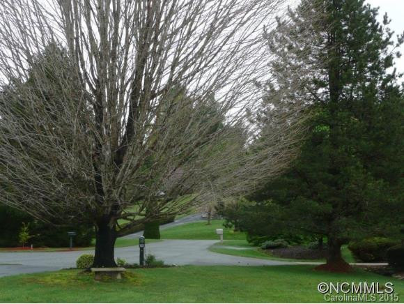 2005 PLUM TREE Lane - Photo 11