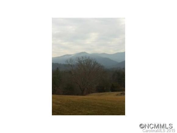 290 Upper Grassy Branch Rd - Photo 4