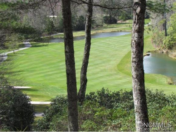 606 Upper Whitewater Road - Photo 2