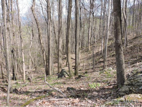 321 A&w Lane - Photo 15