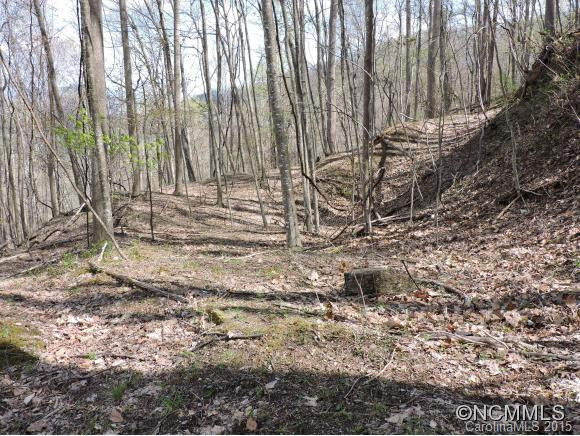 321 A&w Lane - Photo 16