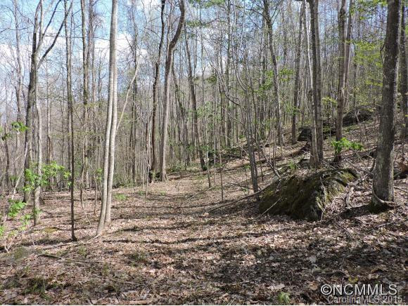 321 A&w Lane - Photo 18