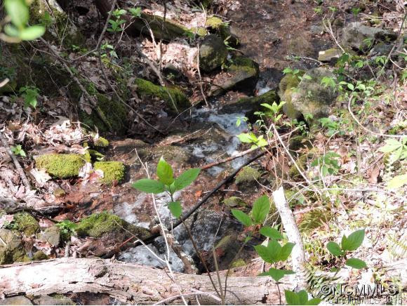321 A&w Lane - Photo 20