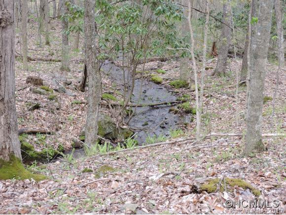 321 A&w Lane - Photo 21