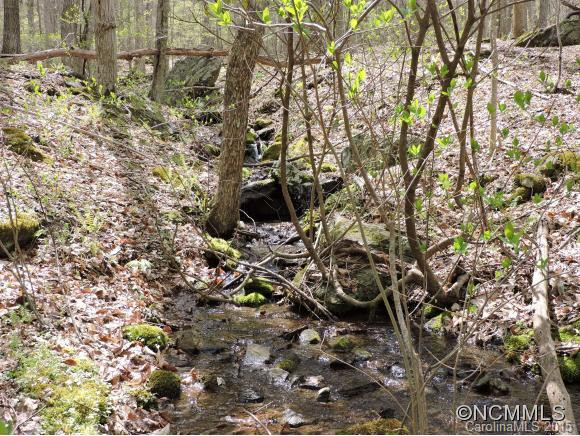 321 A&w Lane - Photo 22
