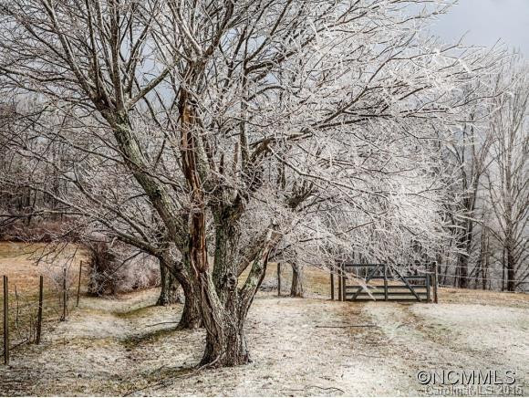 31 KIRSTEIN ROAD - Photo 22