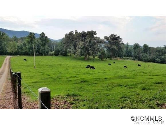 10567 US Hwy 64 - Photo 17