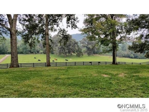 10567 US Hwy 64 - Photo 7
