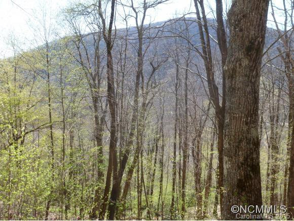 228 Mountain Laurel Road - Photo 12