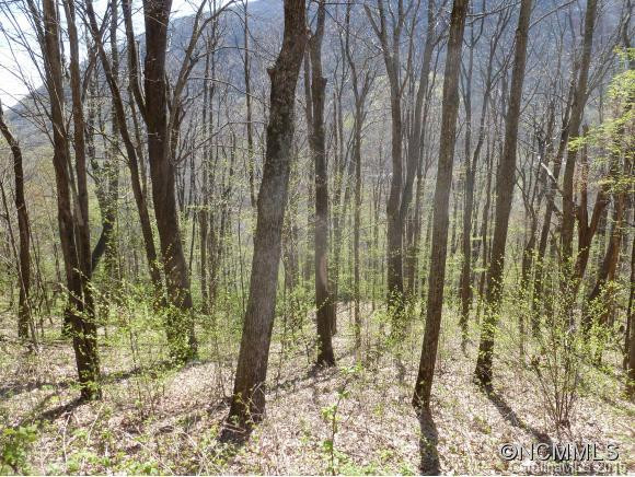 228 Mountain Laurel Road - Photo 13