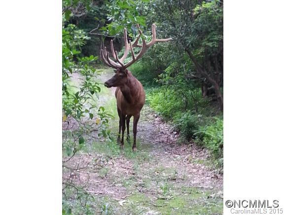 228 Mountain Laurel Road - Photo 14