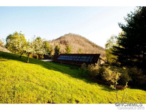 6362 Big Ridge Road - Photo 4