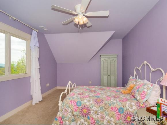108 Pisgah Forest Trail - Photo 16