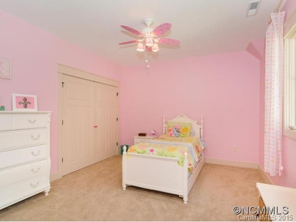 108 Pisgah Forest Trail - Photo 18