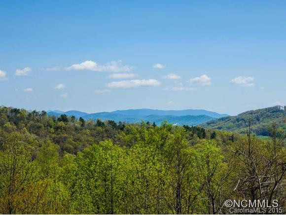 108 Pisgah Forest Trail - Photo 3