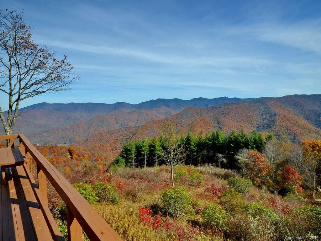 334 EAGLE BALD Trail - Photo 9