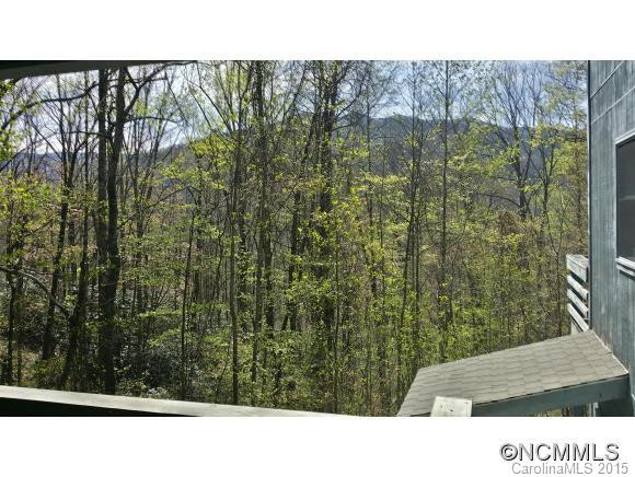 360 Horse Cove Road - Photo 3
