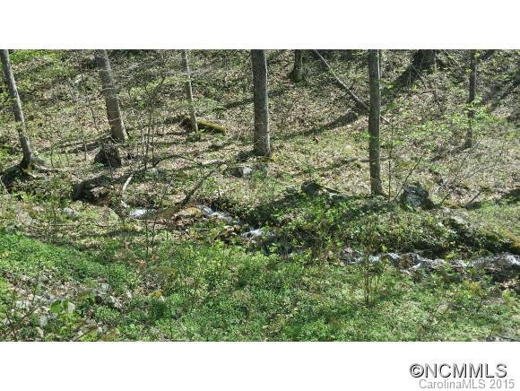 360 Horse Cove Road - Photo 5