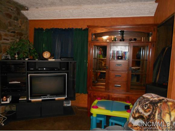 409 Hall St. - Photo 8