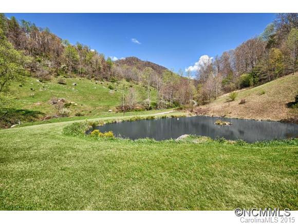 613 Harley Creek Road - Photo 3