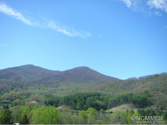 105 Appalachian Trail - Photo 4