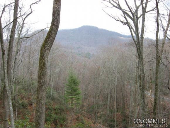 818 Moonshine Mountain Road - Photo 3