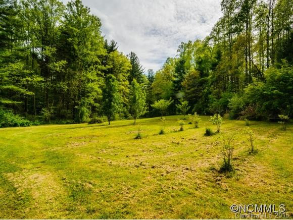 110 Harrison Creek Rd - Photo 4