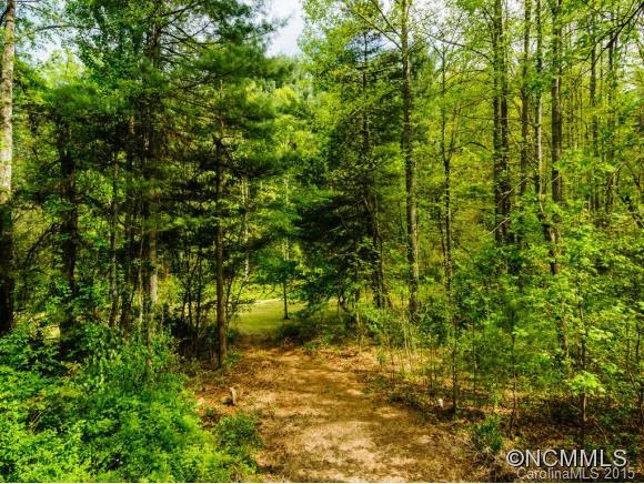 110 Harrison Creek Rd - Photo 6