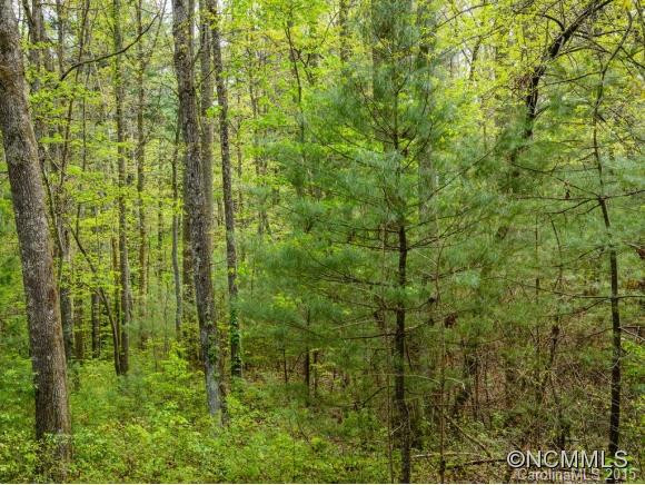 110 Harrison Creek Rd - Photo 8