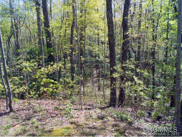 105 Blue Mountain Road - Photo 18