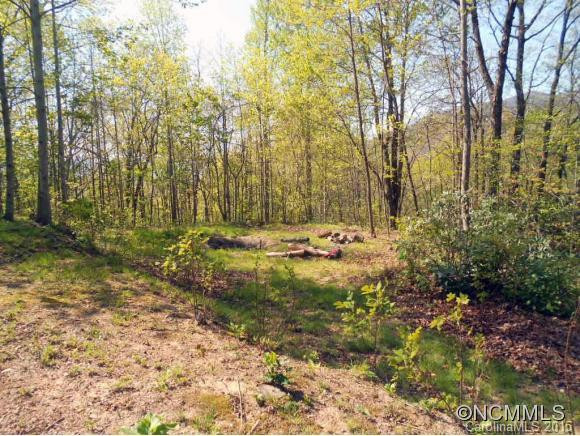 105 Blue Mountain Road - Photo 19