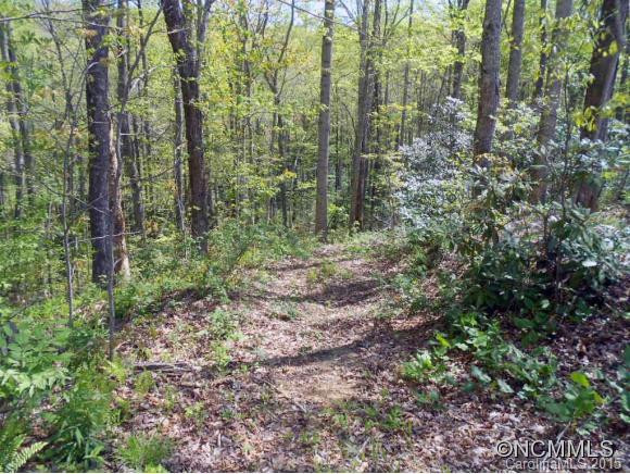 105 Blue Mountain Road - Photo 20