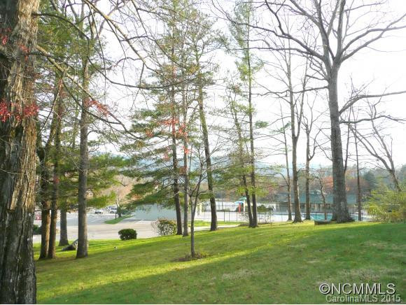 501 Rhododendron - Photo 11