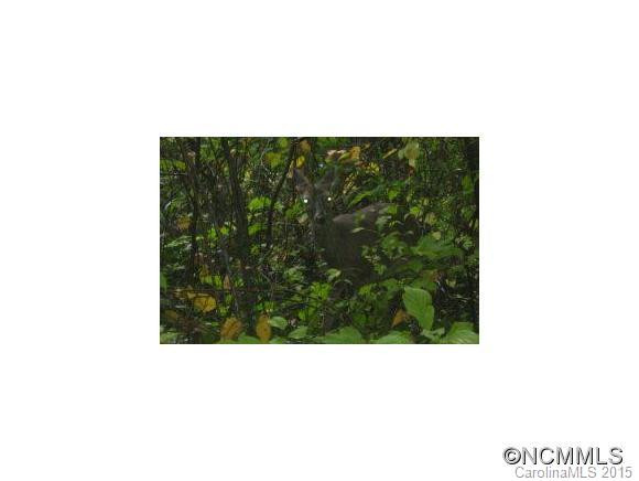 2009 Upper Ridgewood - Photo 18