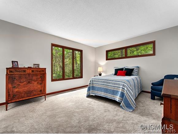 4 POST OAK TRAIL - Photo 17