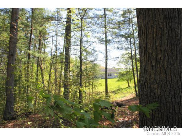 2610 Bear Creek Road - Photo 16
