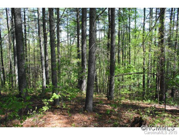 2610 Bear Creek Road - Photo 17